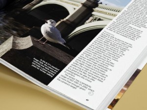 magazine 01 3D-Modell