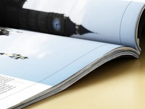 magazine 01 3D Model