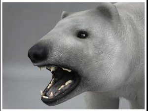 Eisb&auml;r manipuliert 3D Modell