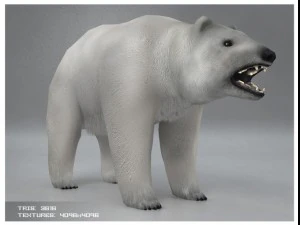 polar white bear rigged 3D Model