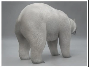 polar white bear rigged 3D Model