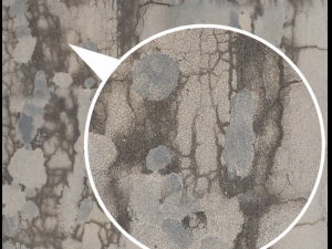 old road CG Textures