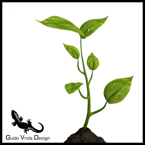 small plant Modelo 3D .c4d .max .obj .3ds .fbx .stl .blend 