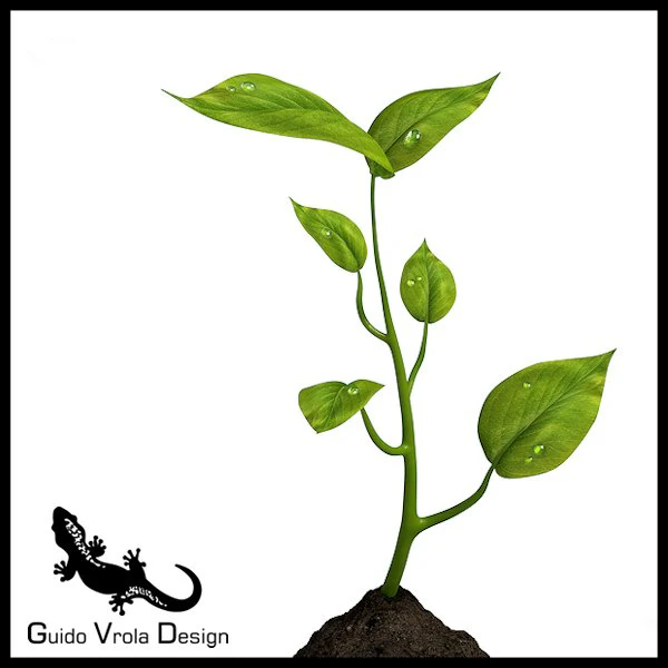 small plant 3D Model .c4d .max .obj .3ds .fbx .stl .blend 
