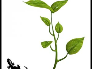 маленькое растение 3D Модель