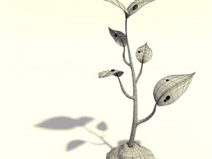 small plant Modelo 3D