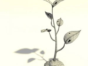 small plant 3D Model