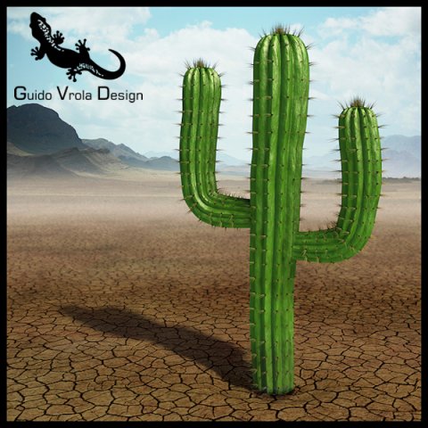 saguaro cactus 3Dモデル .c4d .max .obj .3ds .fbx .stl .blend 
