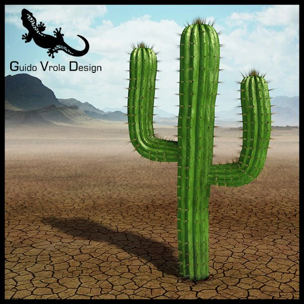saguaro cactus 3D Model .c4d .max .obj .3ds .fbx .stl .blend 