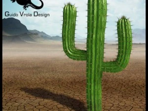 кактус сагуаро 3D Модель