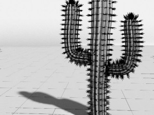saguaro cactus 3Dモデル