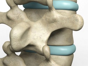 lumbar vertebrae 3D 模型