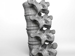 lumbar vertebrae 3D 模型