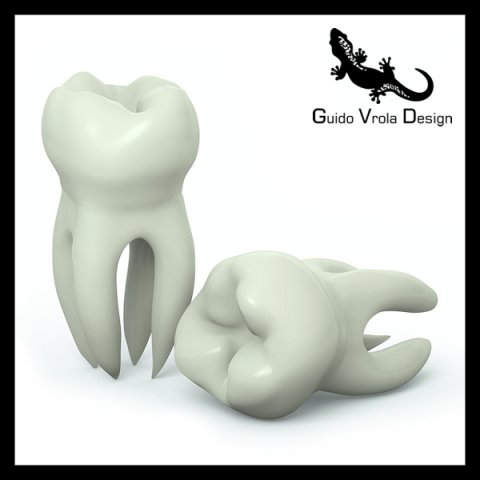 molar tooth 3D-Modell .c4d .max .obj .3ds .fbx .stl .blend 