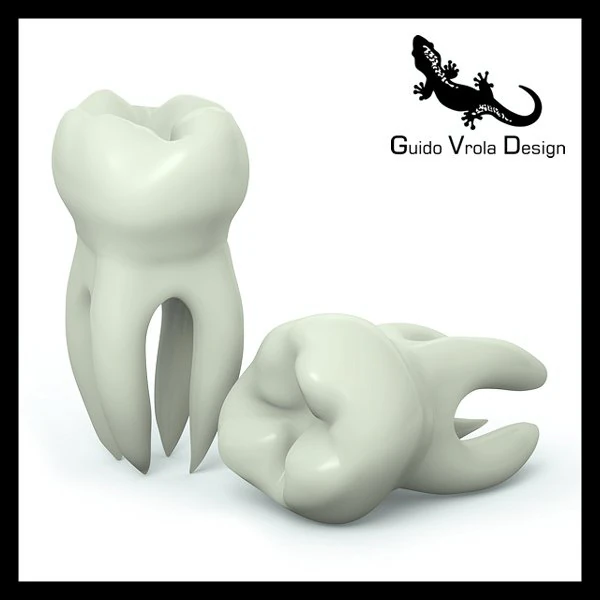 molar tooth 3D Model .c4d .max .obj .3ds .fbx .stl .blend