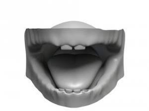 human baby head Modello 3D
