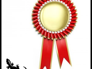 award rosette 3D Модель