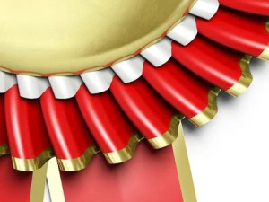 award rosette 3D Model