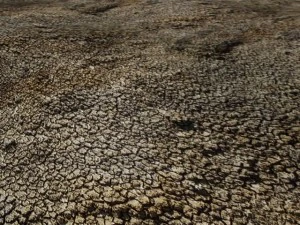 craggy ground 6pack CG Textures