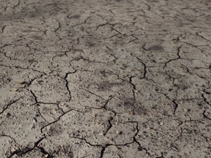 craggy ground 6pack CG Texturen
