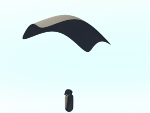 parashoot 3D Model