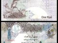 currency in qatar textures CG Textures