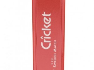 cricket lighter 3Dモデル