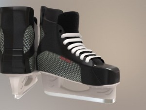 scates Modello 3D