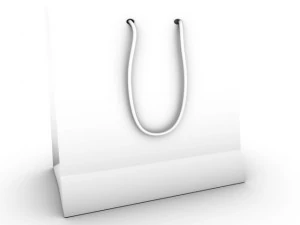 sacchetto di carta Modello 3D