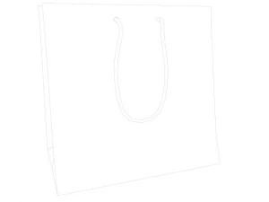 sacchetto di carta Modello 3D