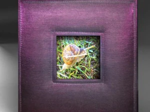 포르타레트라토스 3D 모델