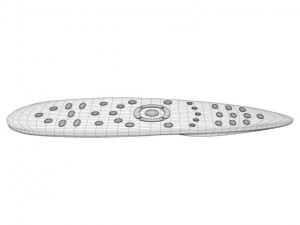 remote control 3D Model