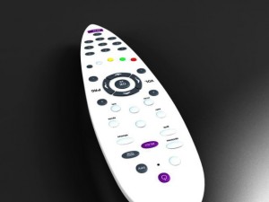 remote control 3D Model