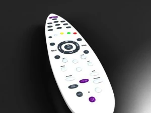 remote control 3D Model