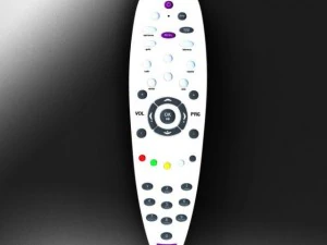 remote control 3D Model