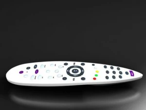 remote control 3D Model