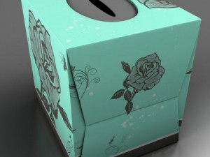 napkins Modèle 3D