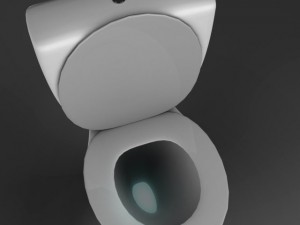 toilet 3D Model