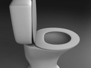 toilet 3D Model