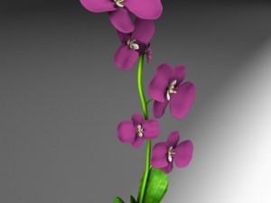 flower vase 3D Модель