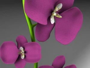 flower vase 3D Model