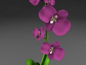 flower vase 3D Модель