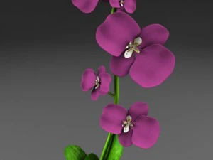 flower vase 3D Model