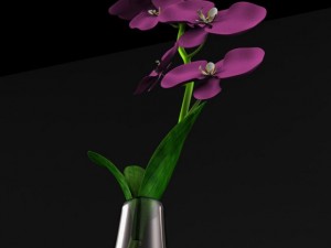 flower vase 3D Модель