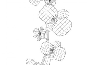 flower vase 3D Модель