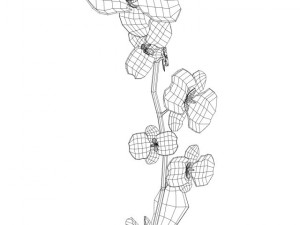 flower vase 3D Модель