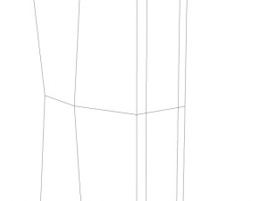 shampoo 3D Model