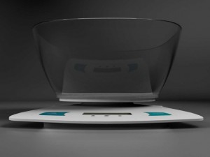 scales 3D Model