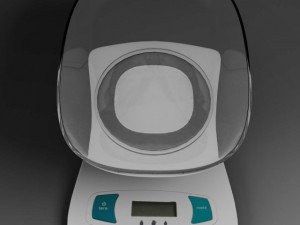 scales 3D Model