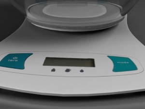 scales 3D Model
